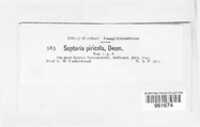 Image Associated With the Occurence